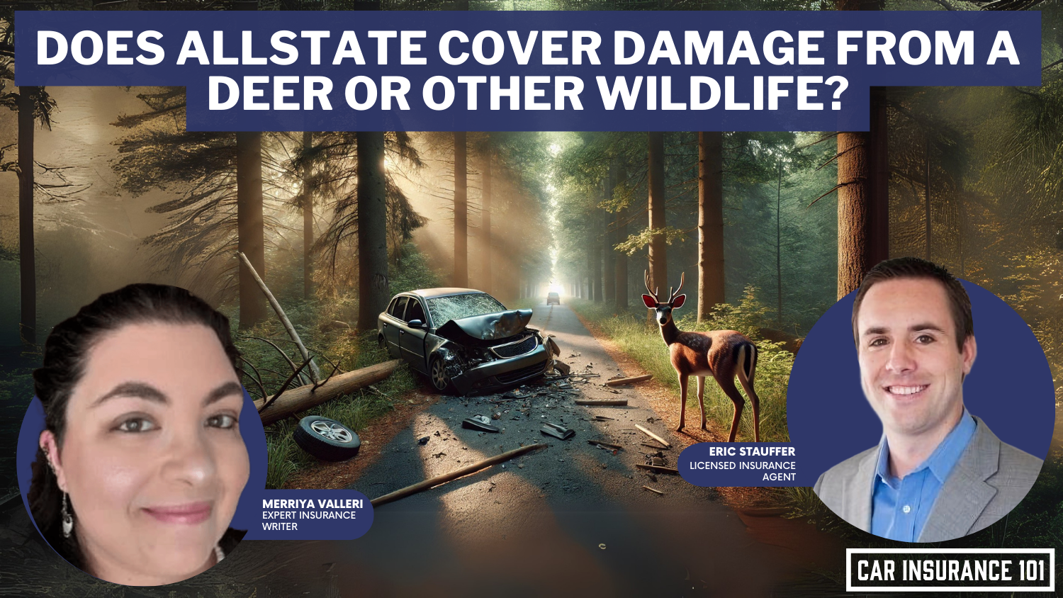 Does Allstate car insurance cover damage caused by a deer or other wildlife?