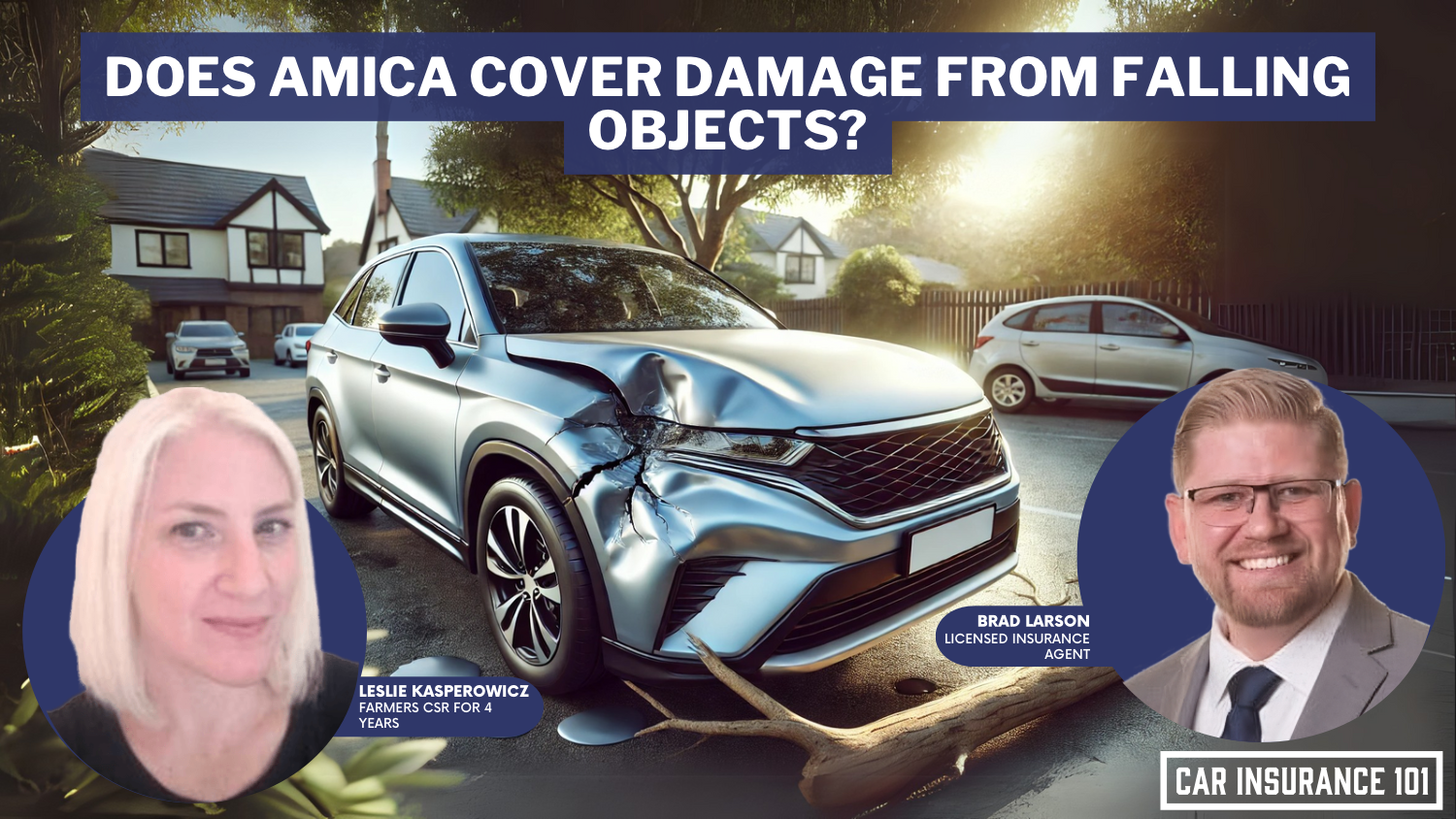 Does Amica Mutual Insurance car insurance cover damage caused by a falling object?