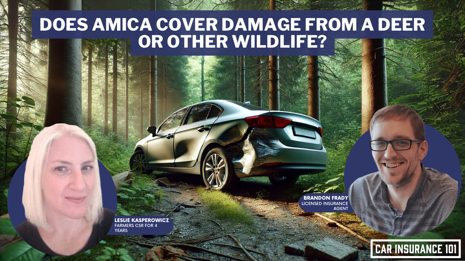 Does Amica Mutual Insurance car insurance cover damage caused by a deer or other wildlife?