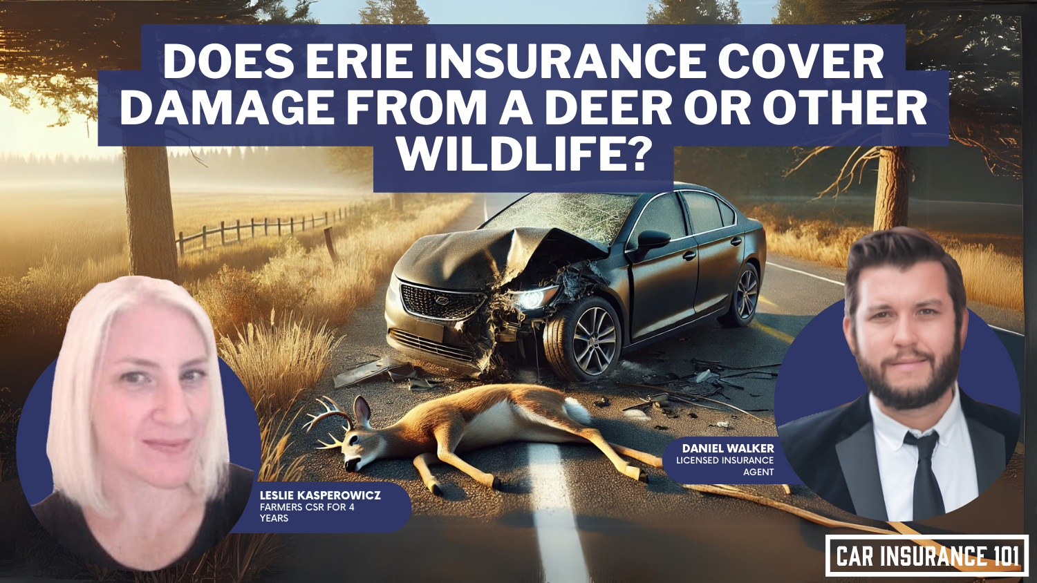 Does Erie Insurance car insurance cover damage caused by a deer or other wildlife?