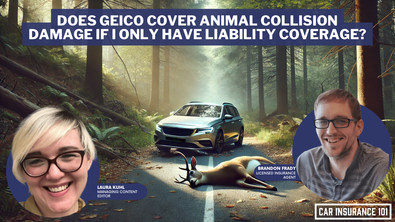 Does GEICO car insurance cover damage caused by a collision with an animal if I only have liability coverage?