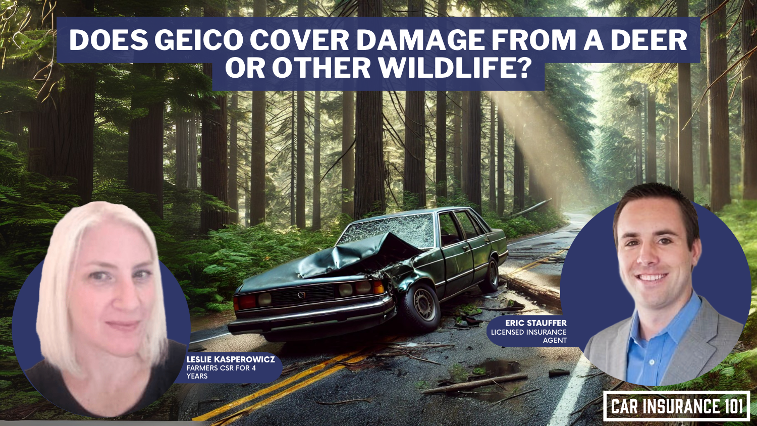 Does GEICO car insurance cover damage caused by a deer or other wildlife?