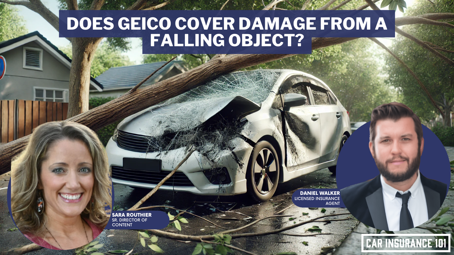 Does GEICO car insurance cover damage caused by a falling object?