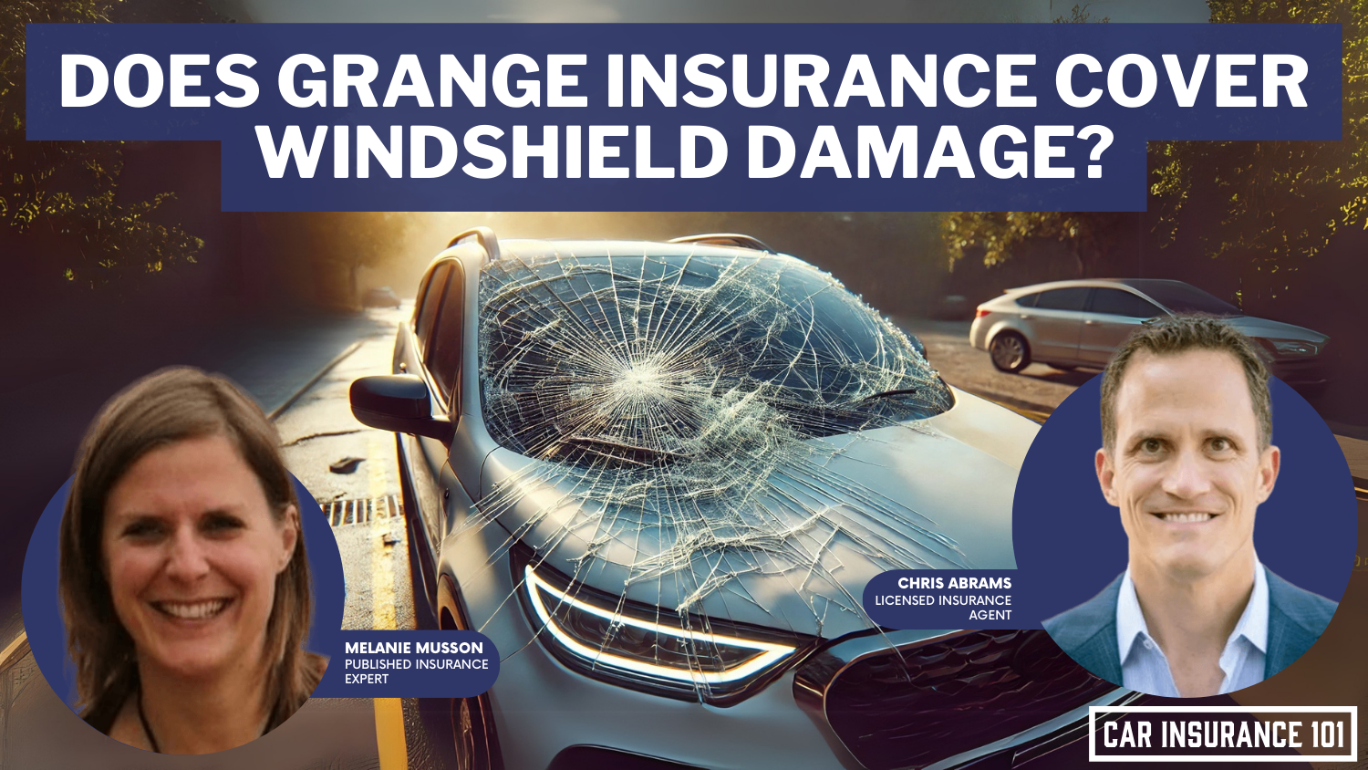 Does Grange Insurance car insurance cover damage to my windshield?