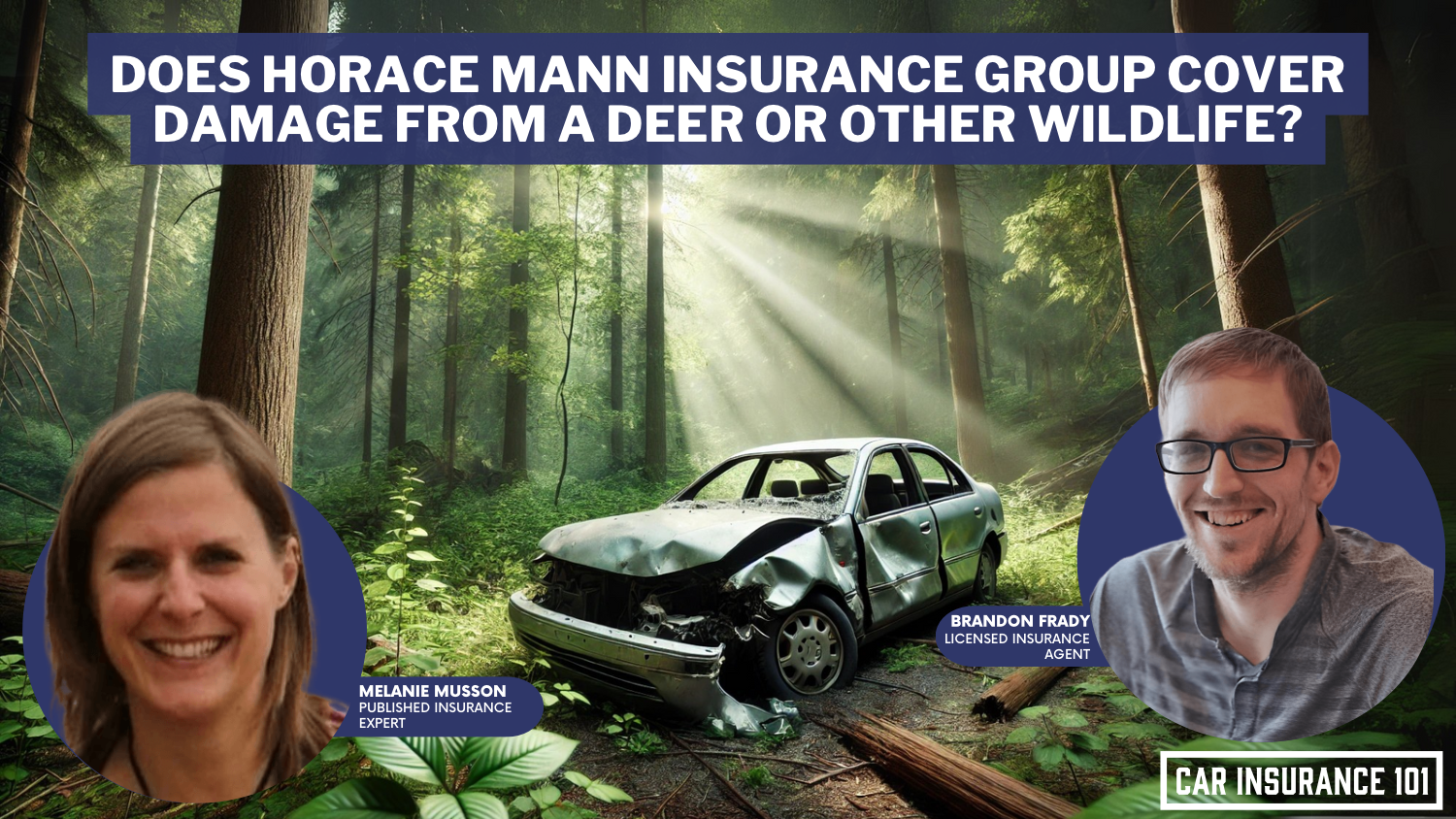 Does Horace Mann Insurance Group car insurance cover damage caused by a deer or other wildlife?